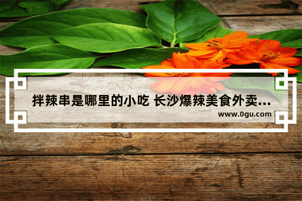 拌辣串是哪里的小吃 长沙爆辣美食外卖加盟店