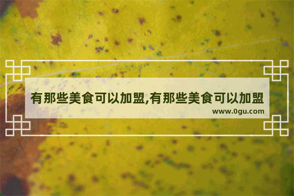 有那些美食可以加盟,有那些美食可以加盟