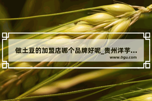 做土豆的加盟店哪个品牌好呢_贵州洋芋小吃加盟店排行榜