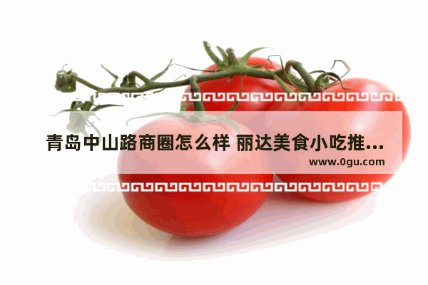 青岛中山路商圈怎么样 丽达美食小吃推荐加盟