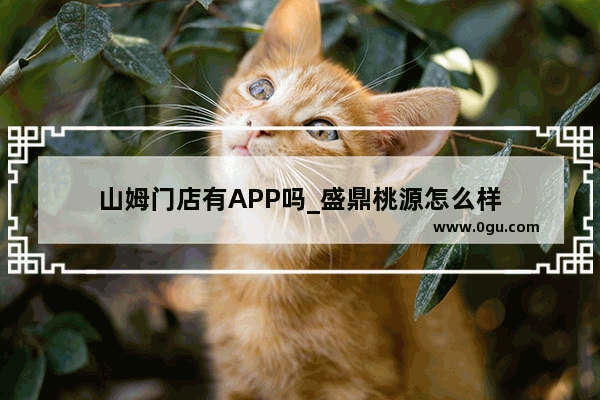 山姆门店有APP吗_盛鼎桃源怎么样