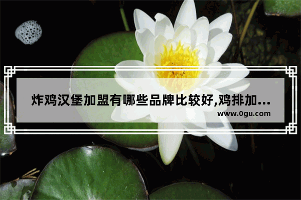 炸鸡汉堡加盟有哪些品牌比较好,鸡排加盟加盟