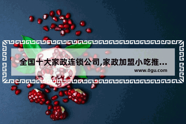 全国十大家政连锁公司,家政加盟小吃推荐店