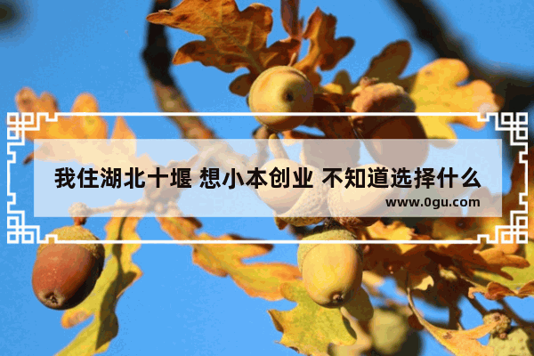 我住湖北十堰 想小本创业 不知道选择什么好项目 请高人指点 十堰酒店客控加盟
