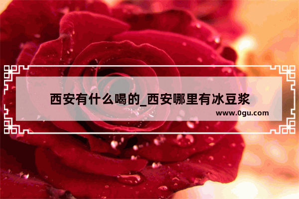 西安有什么喝的_西安哪里有冰豆浆