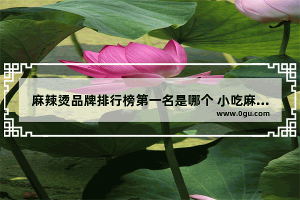 麻辣烫品牌排行榜第一名是哪个 小吃麻辣烫加盟排行榜
