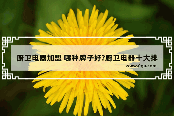 厨卫电器加盟 哪种牌子好?厨卫电器十大排名是什么_余姚加盟店推荐
