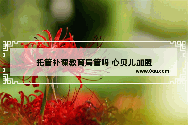 托管补课教育局管吗 心贝儿加盟