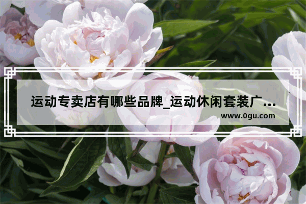 运动专卖店有哪些品牌_运动休闲套装广州哪个批发市场最多