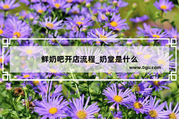 鲜奶吧开店流程_奶堂是什么