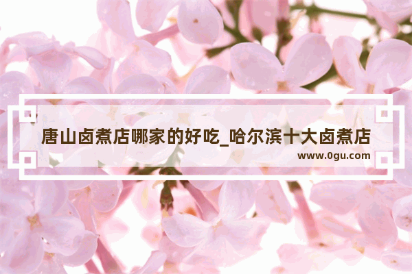 唐山卤煮店哪家的好吃_哈尔滨十大卤煮店