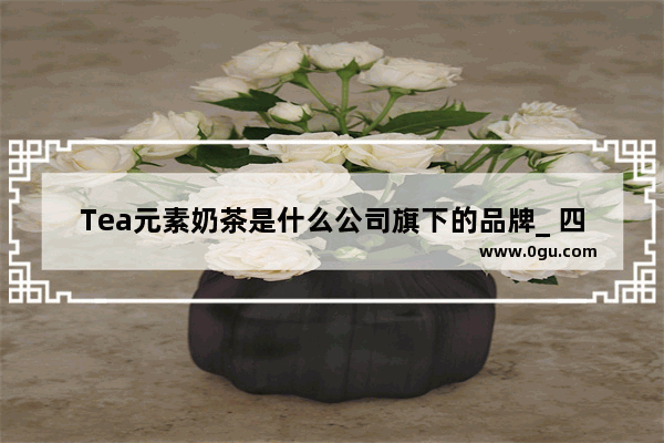 Tea元素奶茶是什么公司旗下的品牌_ 四川奶茶冷饮加盟品牌