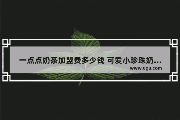 一点点奶茶加盟费多少钱 可爱小珍珠奶茶店加盟