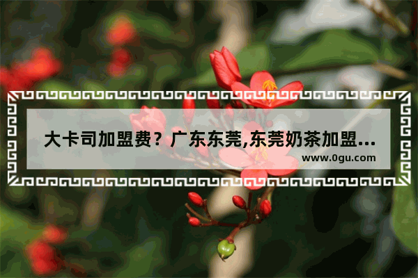 大卡司加盟费？广东东莞,东莞奶茶加盟排行榜