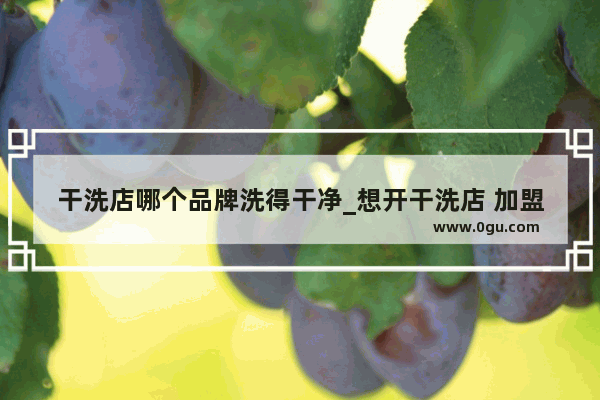 干洗店哪个品牌洗得干净_想开干洗店 加盟干洗店哪个品牌比较好