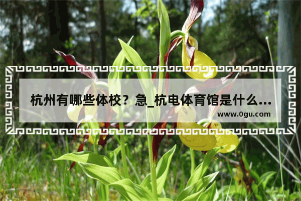 杭州有哪些体校？急_杭电体育馆是什么体育项目