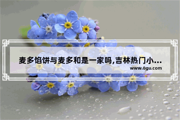 麦多馅饼与麦多和是一家吗,吉林热门小吃加盟费用