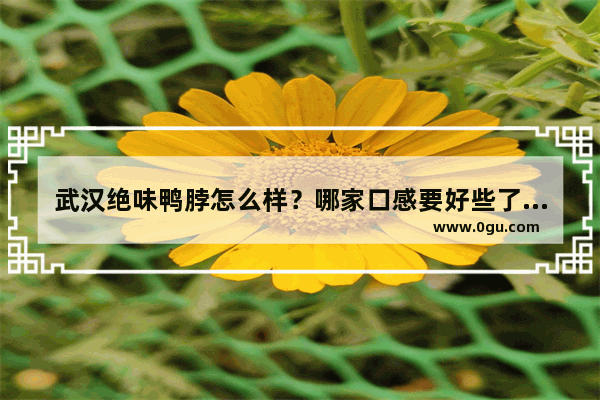 武汉绝味鸭脖怎么样？哪家口感要好些了?我想加盟 江汉区有什么酒店加盟
