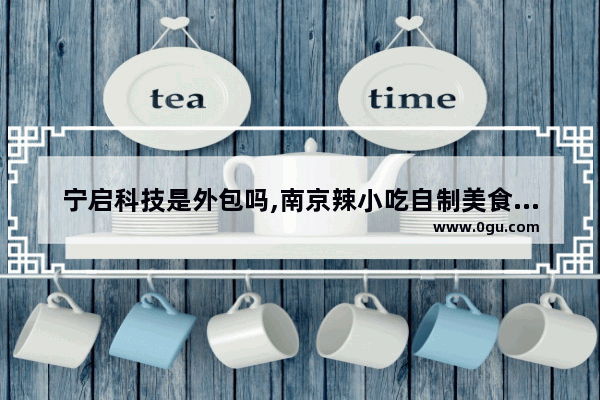 宁启科技是外包吗,南京辣小吃自制美食加盟