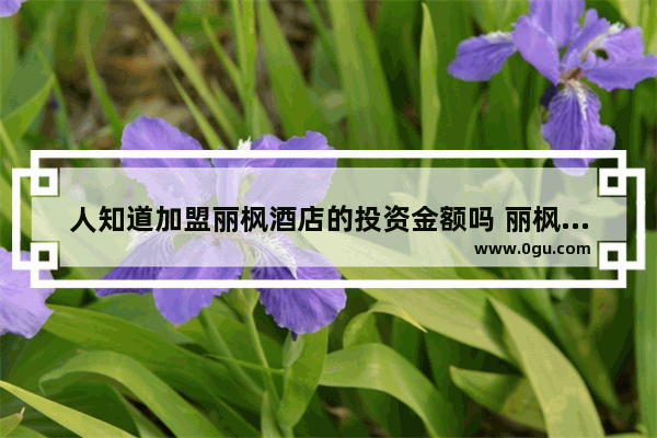 人知道加盟丽枫酒店的投资金额吗 丽枫酒店加盟的价格