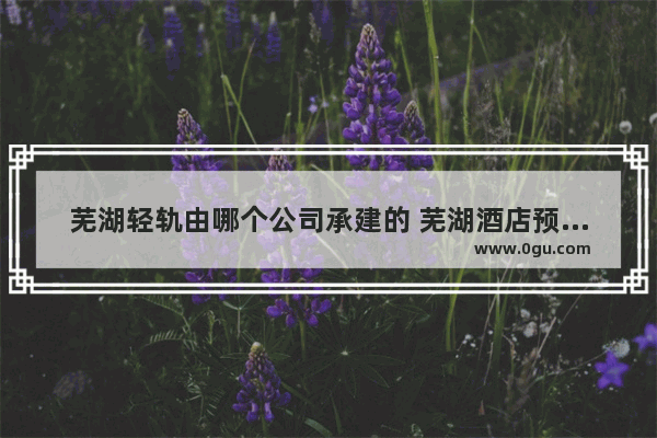 芜湖轻轨由哪个公司承建的 芜湖酒店预制菜加盟
