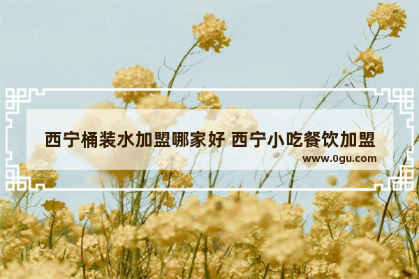 西宁桶装水加盟哪家好 西宁小吃餐饮加盟