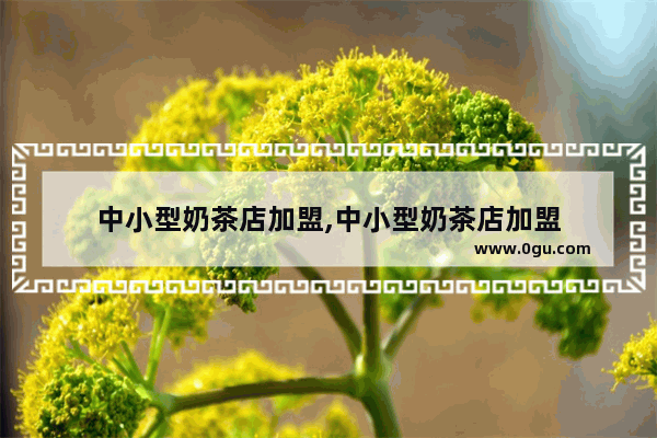 中小型奶茶店加盟,中小型奶茶店加盟