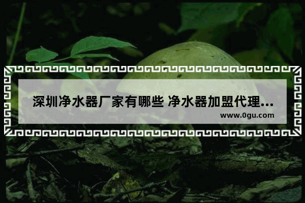 深圳净水器厂家有哪些 净水器加盟代理哪家好 上海净水器品牌加盟