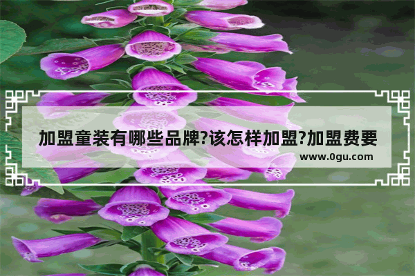 加盟童装有哪些品牌?该怎样加盟?加盟费要多少 童装品牌加盟多少钱