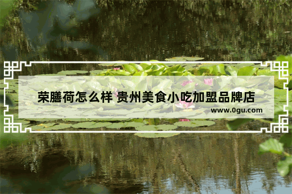 荣膳荷怎么样 贵州美食小吃加盟品牌店
