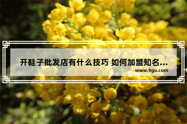 开鞋子批发店有什么技巧 如何加盟知名球鞋品牌