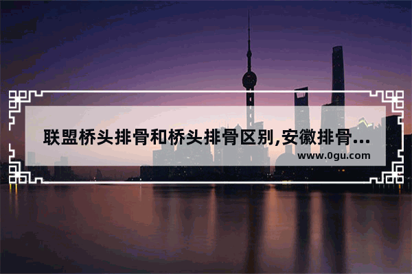 联盟桥头排骨和桥头排骨区别,安徽排骨小吃加盟多少钱