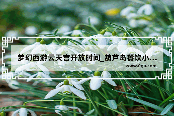 梦幻西游云天宫开放时间_葫芦岛餐饮小吃加盟哪家好