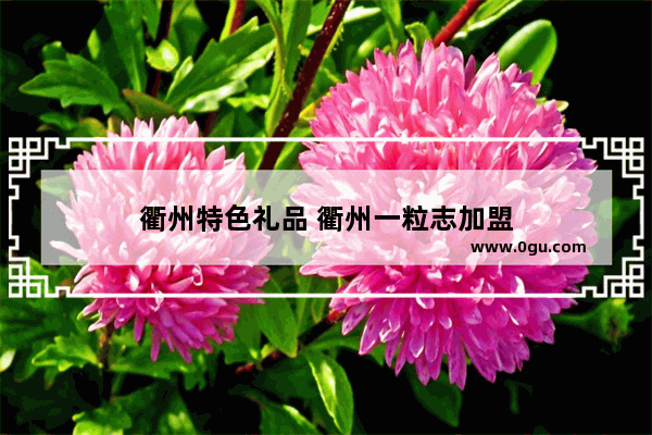 衢州特色礼品 衢州一粒志加盟