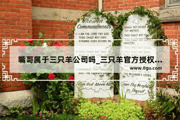 嘴哥属于三只羊公司吗_三只羊官方授权流程