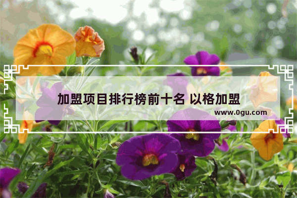 加盟项目排行榜前十名 以格加盟