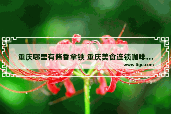 重庆哪里有酱香拿铁 重庆美食连锁咖啡加盟店