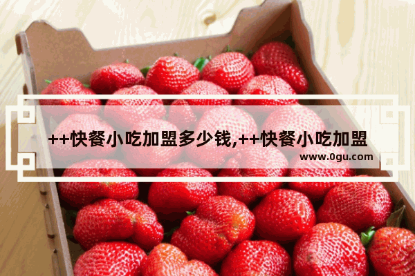 ++快餐小吃加盟多少钱,++快餐小吃加盟多少钱