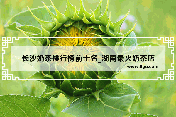长沙奶茶排行榜前十名_湖南最火奶茶店