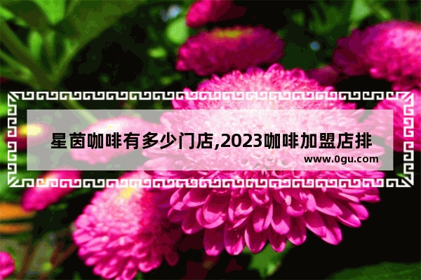 星茵咖啡有多少门店,2023咖啡加盟店排行榜