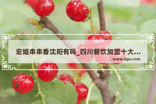 宏姐串串香沈阳有吗_四川餐饮加盟十大品牌