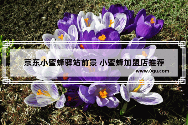 京东小蜜蜂驿站前景 小蜜蜂加盟店推荐