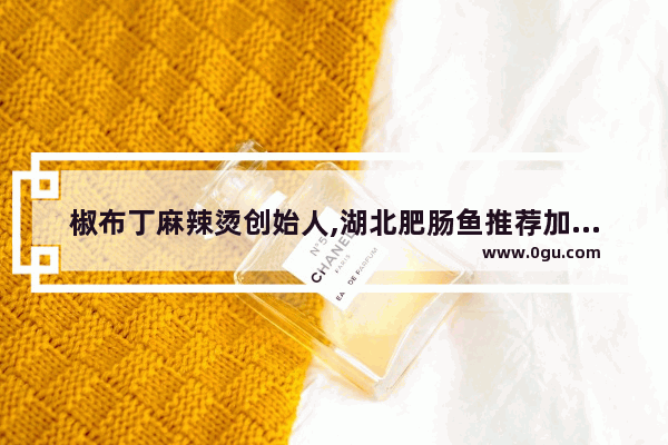椒布丁麻辣烫创始人,湖北肥肠鱼推荐加盟店