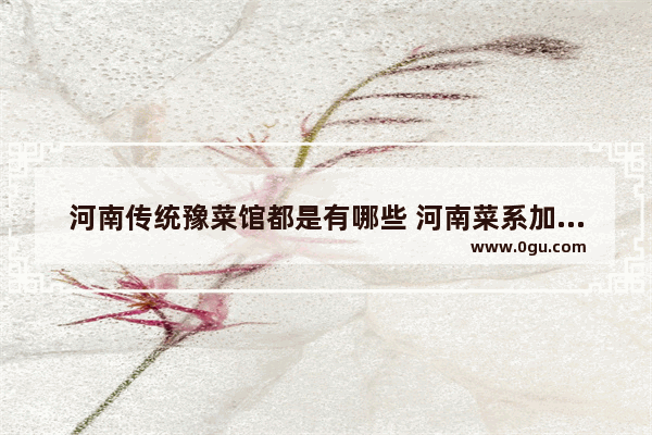 河南传统豫菜馆都是有哪些 河南菜系加盟店排行榜大全