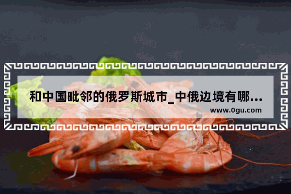 和中国毗邻的俄罗斯城市_中俄边境有哪些城市