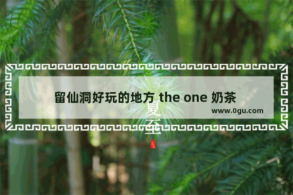 留仙洞好玩的地方 the one 奶茶 加盟