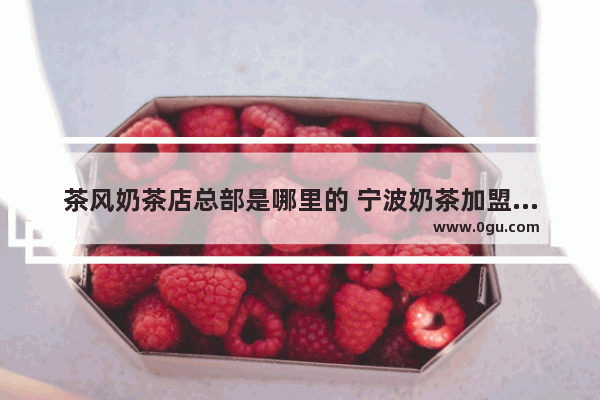 茶风奶茶店总部是哪里的 宁波奶茶加盟多少钱啊
