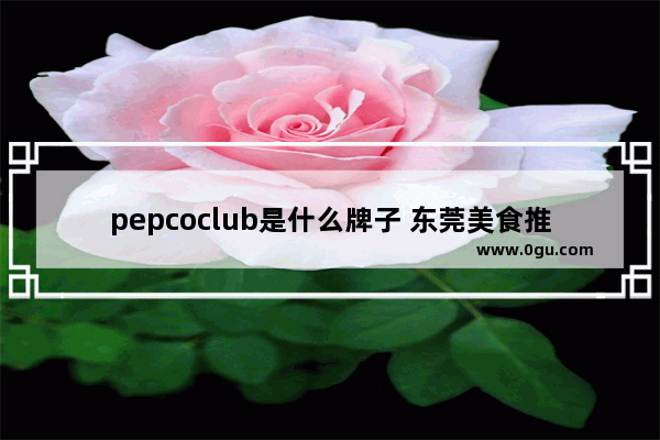 pepcoclub是什么牌子 东莞美食推荐码头加盟店