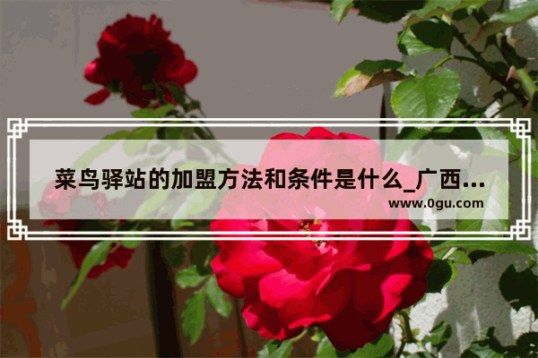 菜鸟驿站的加盟方法和条件是什么_广西中药材种植加盟免费供苗回收