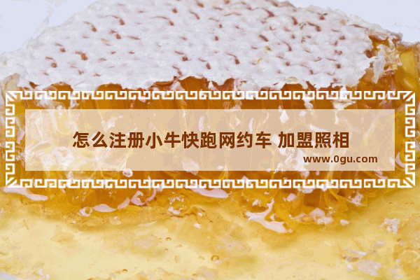 怎么注册小牛快跑网约车 加盟照相